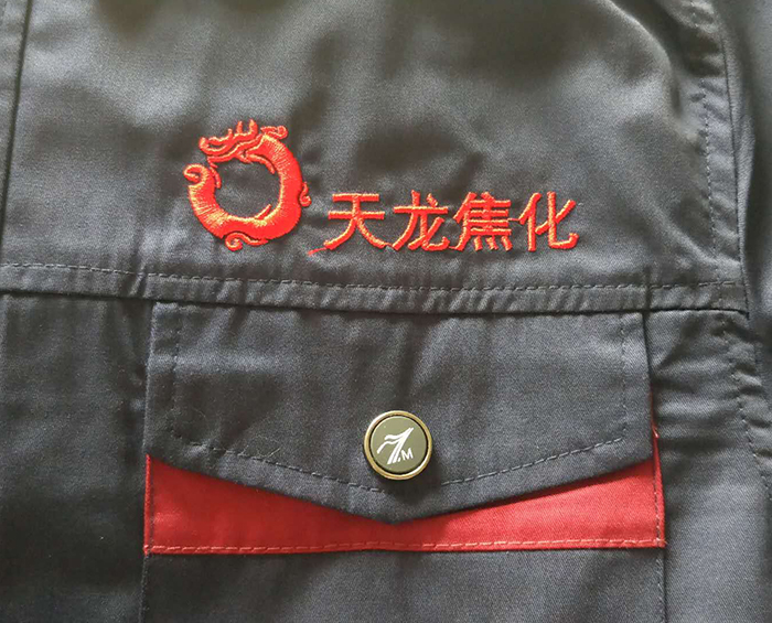 天龙焦化logo